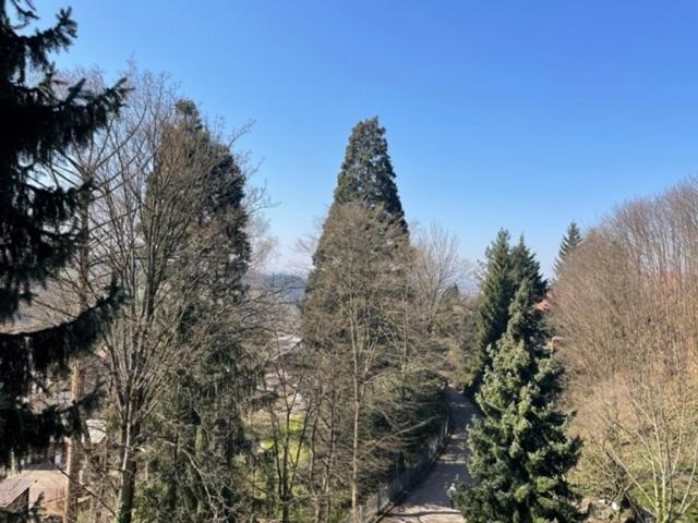 사스바흐발덴 Urlaub Im Schwarzwald! Ghp440 아파트 외부 사진